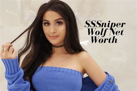 preston youtuber net worth|sssniperwolf net worth 2024.